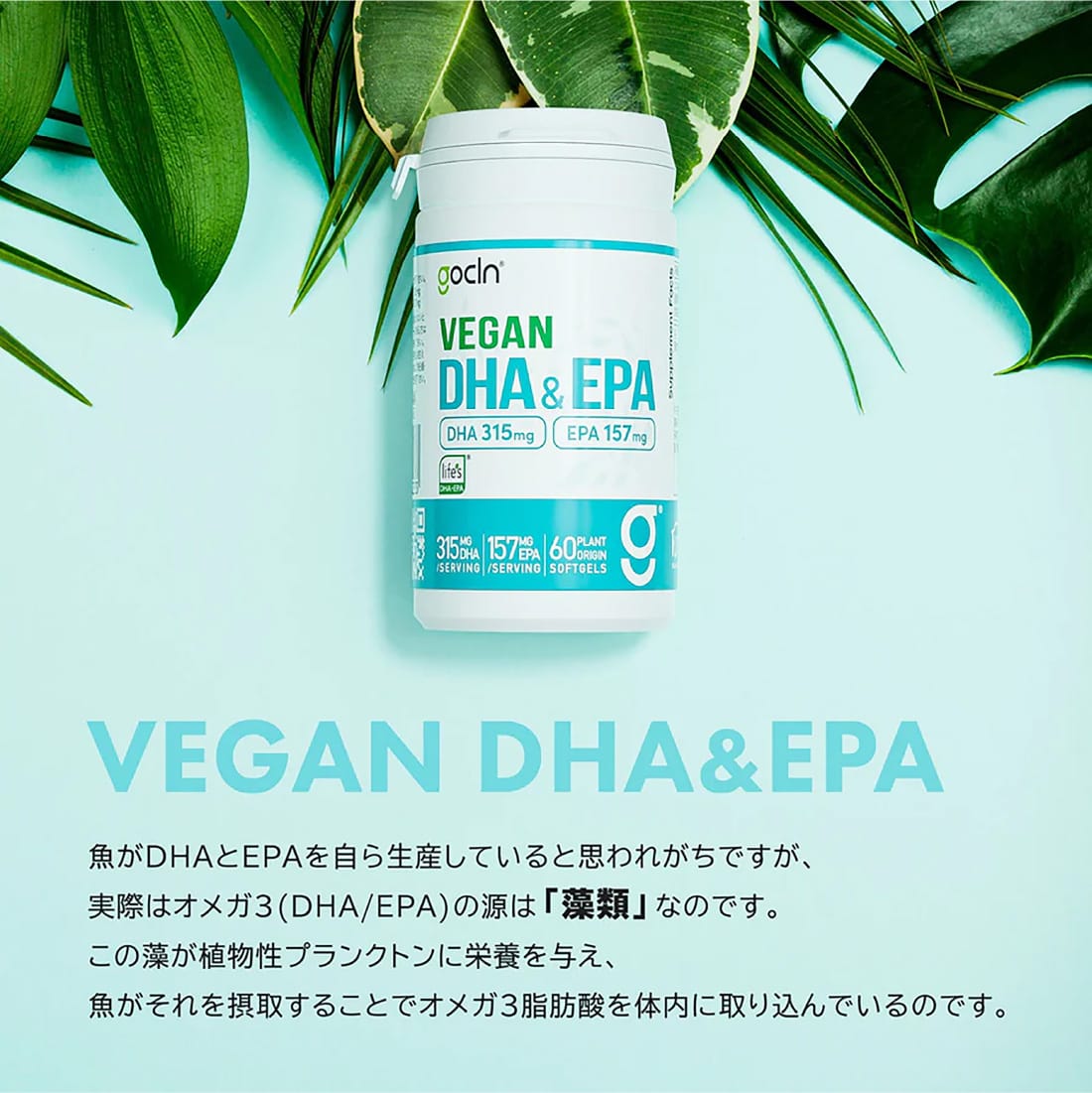 ＜健康向上コース＞DHA＆EPA3本セット - gocln