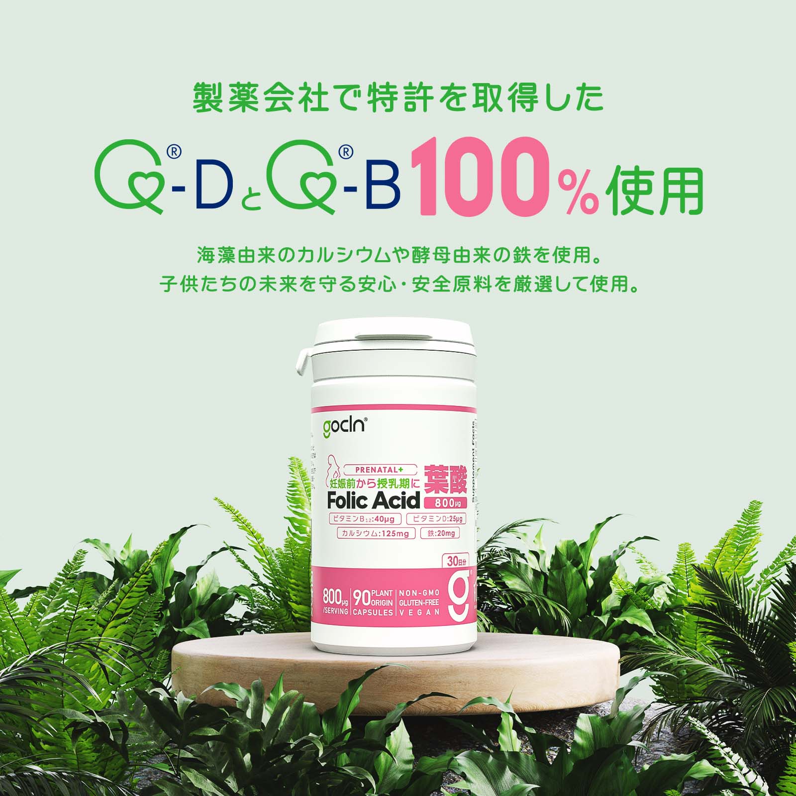 葉酸 800ug /日  90 カプセル  30日分 - Plant Based - - Fuji Organics